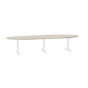 Tmeeting 3, 10 plaatsen 360x120cm