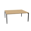 Arca bench 2 persoons 180x80cm hoogte instelbaar
