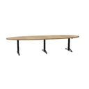 Tmeeting 3, 10 plaatsen 360x120cm