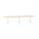 Tmeeting 3, 10 plaatsen 360x120cm